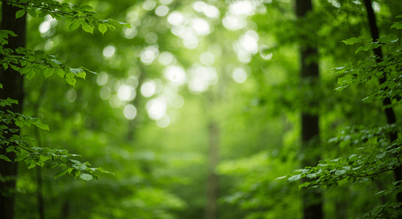 Cinematic forest background